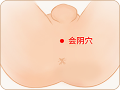 会阴穴